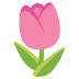 :tulip: :tulip: